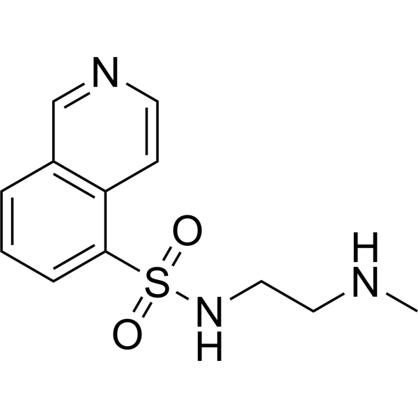 H8 (Protein kinase inhibitor 7) 84478-11-5